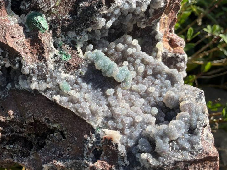 Natural Massive Druzy Coated Ball Malachite on Red Copper Dolomite Specimen x 1 From Likasi, Congo