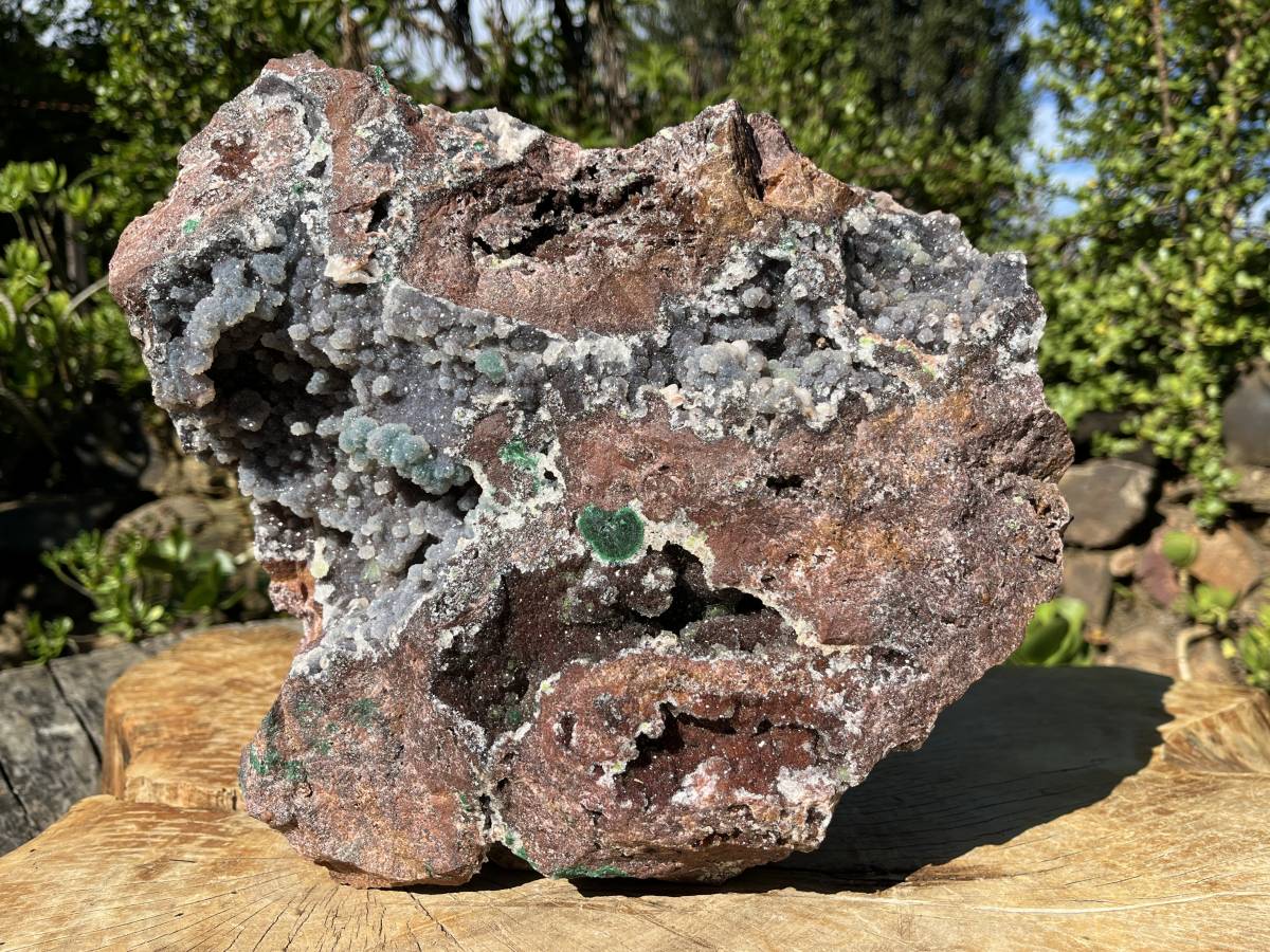 Natural Massive Druzy Coated Ball Malachite on Red Copper Dolomite Specimen x 1 From Likasi, Congo