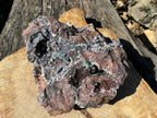 Natural Massive Druzy Coated Ball Malachite on Red Copper Dolomite Specimen x 1 From Likasi, Congo