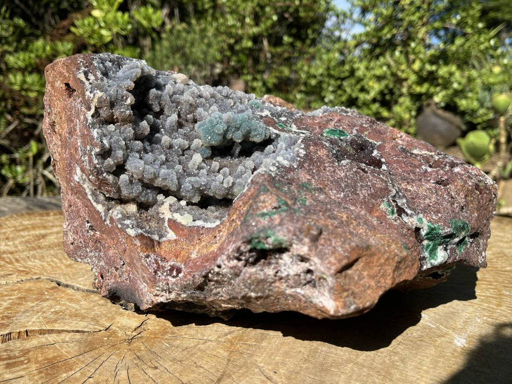 Natural Massive Druzy Coated Ball Malachite on Red Copper Dolomite Specimen x 1 From Likasi, Congo
