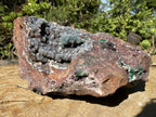 Natural Massive Druzy Coated Ball Malachite on Red Copper Dolomite Specimen x 1 From Likasi, Congo