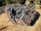 Natural Massive Druzy Coated Ball Malachite on Red Copper Dolomite Specimen x 1 From Likasi, Congo