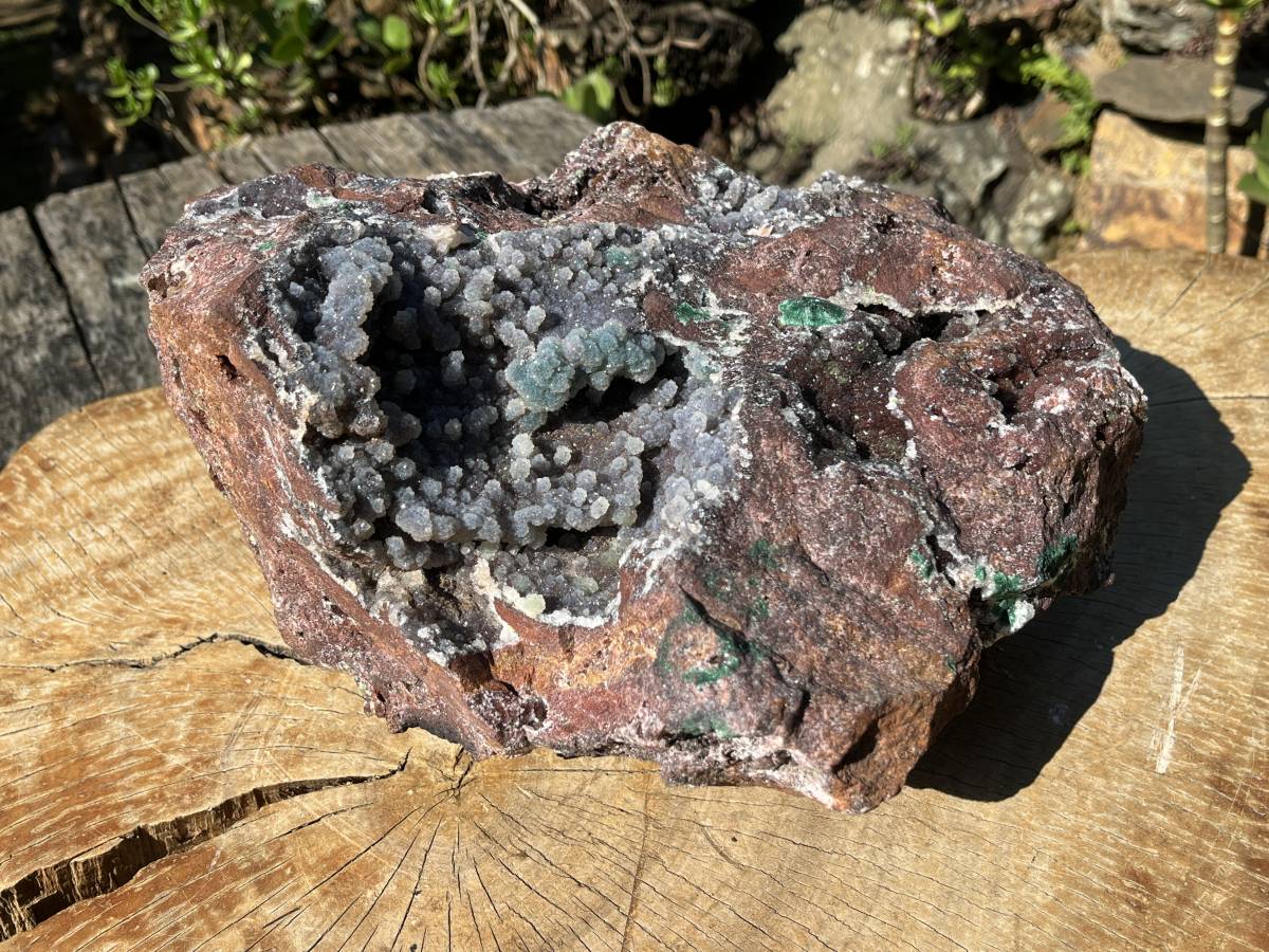 Natural Massive Druzy Coated Ball Malachite on Red Copper Dolomite Specimen x 1 From Likasi, Congo