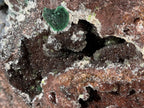 Natural Massive Druzy Coated Ball Malachite on Red Copper Dolomite Specimen x 1 From Likasi, Congo