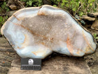 Polished XXL Agate Crystal Geode x 1 From Madagascar