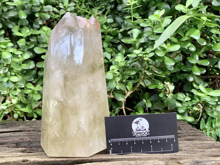Polished XL Multi-Terminated Citrine Quartz Crystal x 1 From Madagascar
