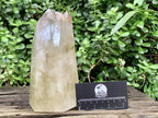 Polished XL Multi-Terminated Citrine Quartz Crystal x 1 From Madagascar