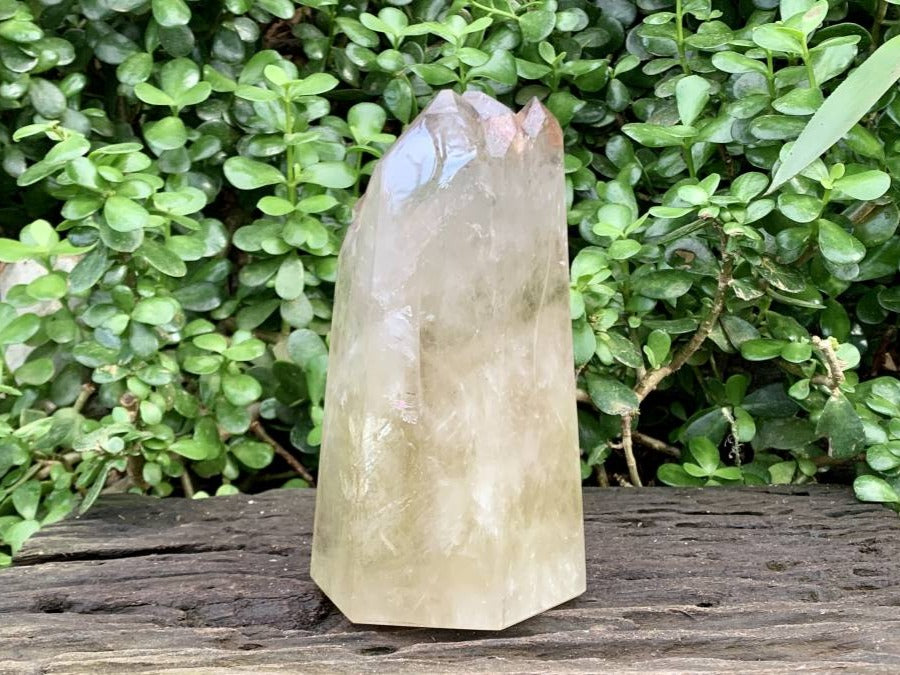 Polished XL Multi-Terminated Citrine Quartz Crystal x 1 From Madagascar