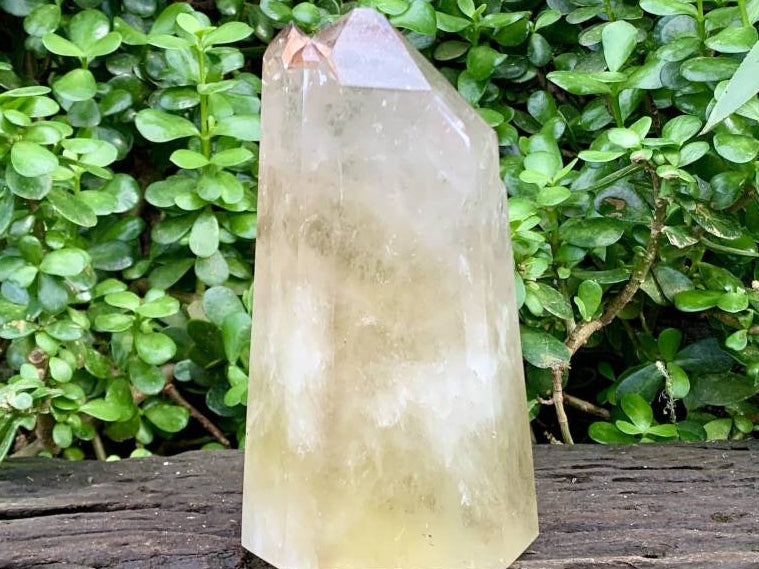 Polished XL Multi-Terminated Citrine Quartz Crystal x 1 From Madagascar