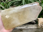Polished XL Multi-Terminated Citrine Quartz Crystal x 1 From Madagascar