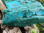 Polished XL Botryoidal Malacolla Display Specimen x 1 From Kulukuluku, Congo