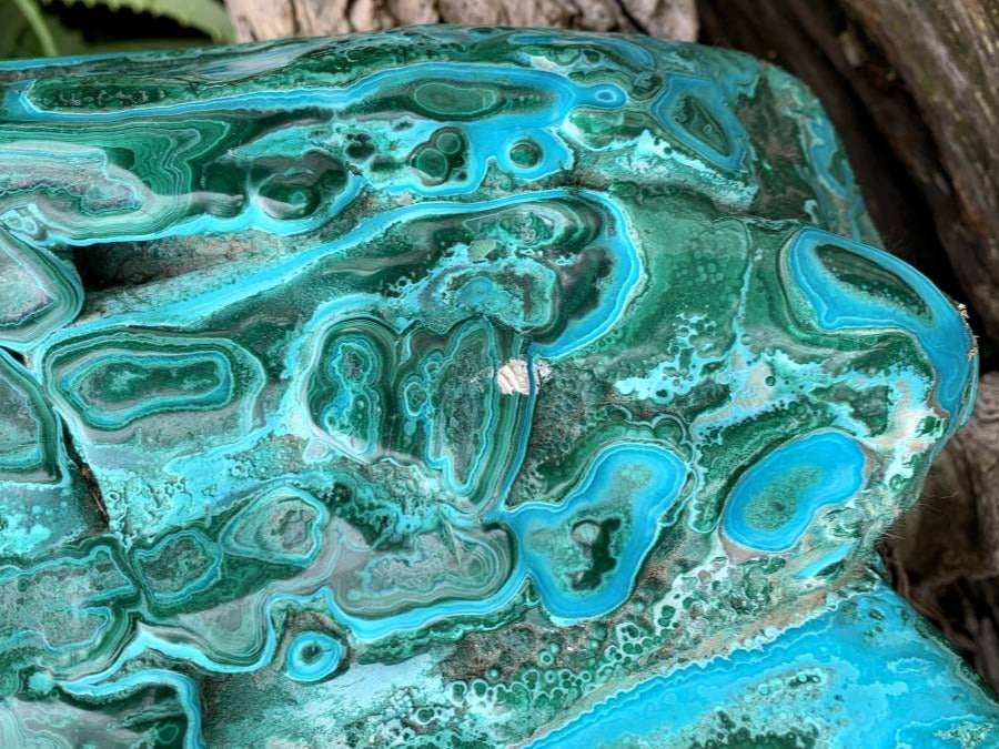 Polished XL Botryoidal Malacolla Display Specimen x 1 From Kulukuluku, Congo