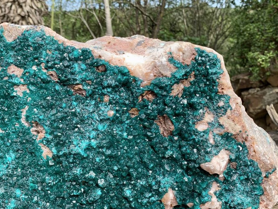 Natural 2nd Largest Dioptase Specimen in the World x 1 From Tantara, Congo