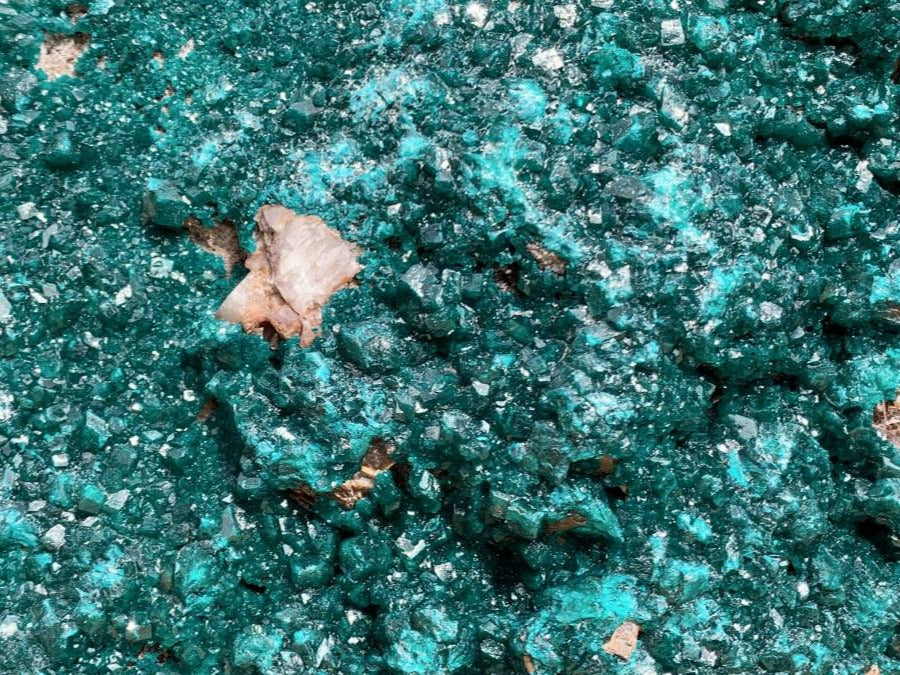 Natural 2nd Largest Dioptase Specimen in the World x 1 From Tantara, Congo