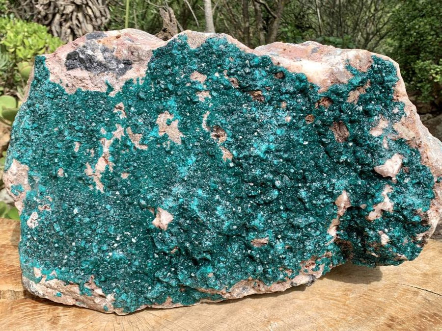 Natural 2nd Largest Dioptase Specimen in the World x 1 From Tantara, Congo