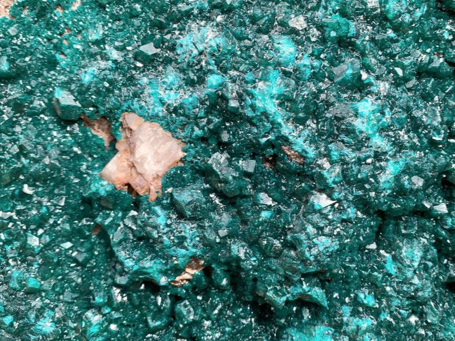 Natural 2nd Largest Dioptase Specimen in the World x 1 From Tantara, Congo