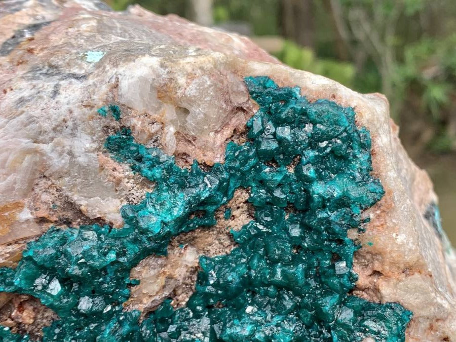 Natural 2nd Largest Dioptase Specimen in the World x 1 From Tantara, Congo