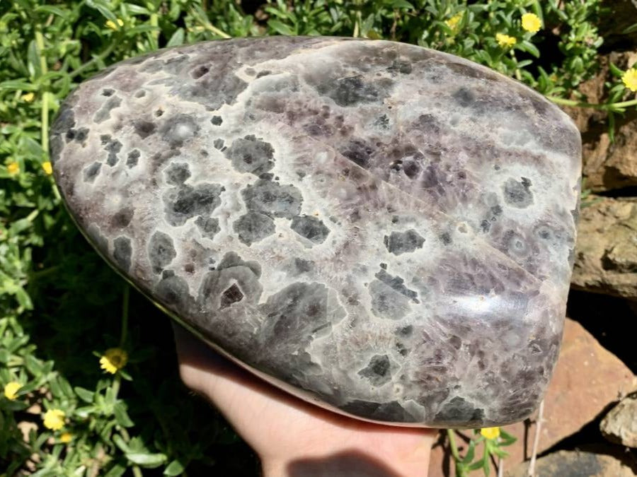 Polished Extra Large Flower Chevron Amethyst Display Piece x 1 From Madagascar