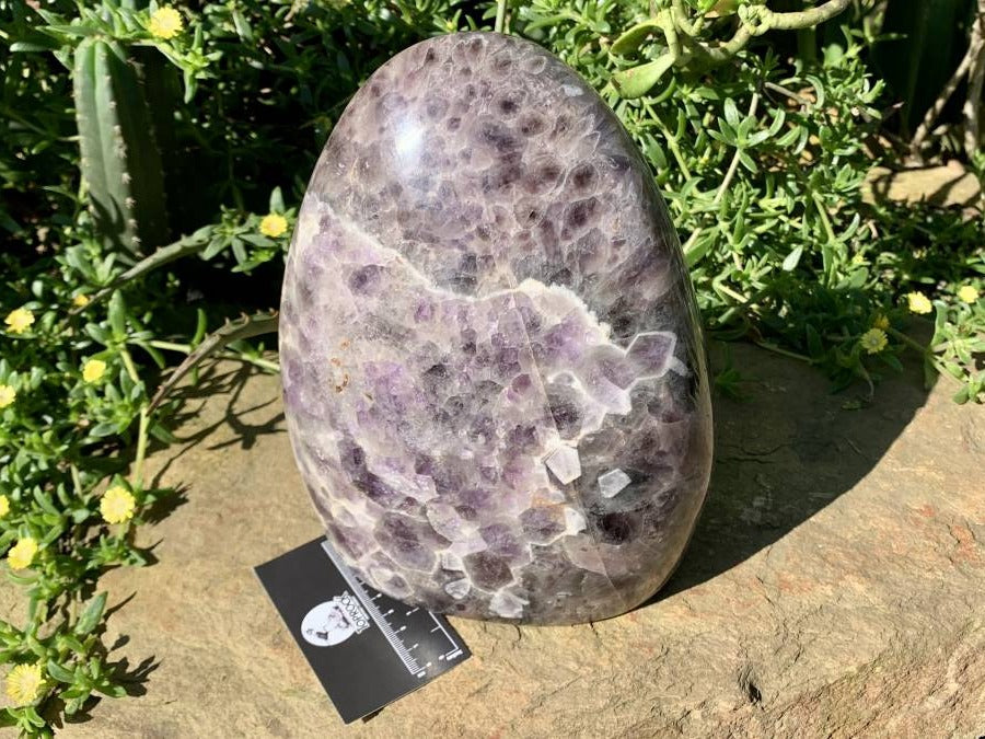 Polished Extra Large Flower Chevron Amethyst Display Piece x 1 From Madagascar