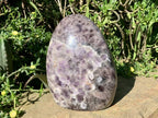 Polished Extra Large Flower Chevron Amethyst Display Piece x 1 From Madagascar