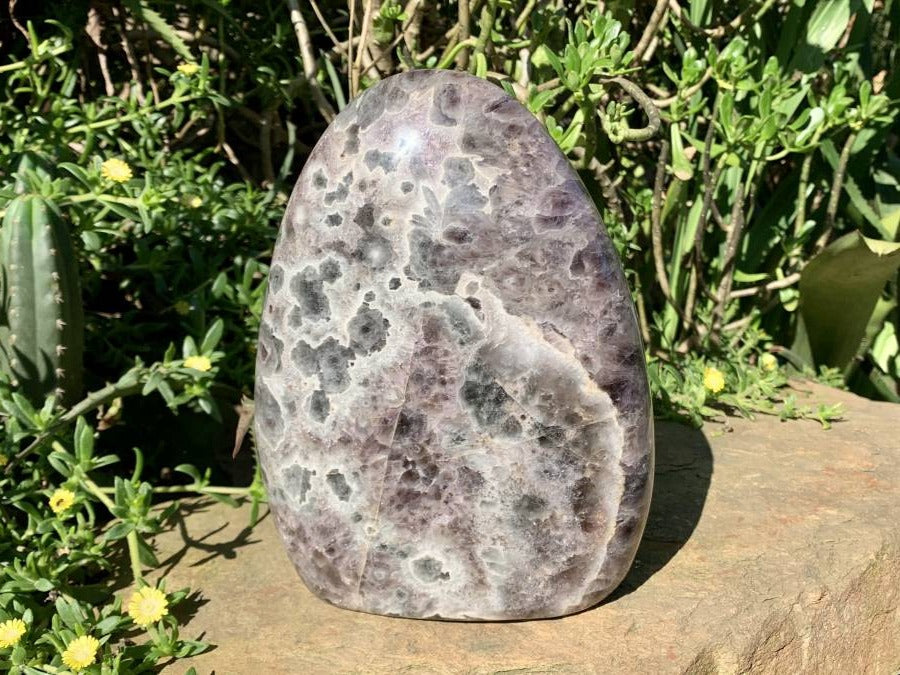 Polished Extra Large Flower Chevron Amethyst Display Piece x 1 From Madagascar