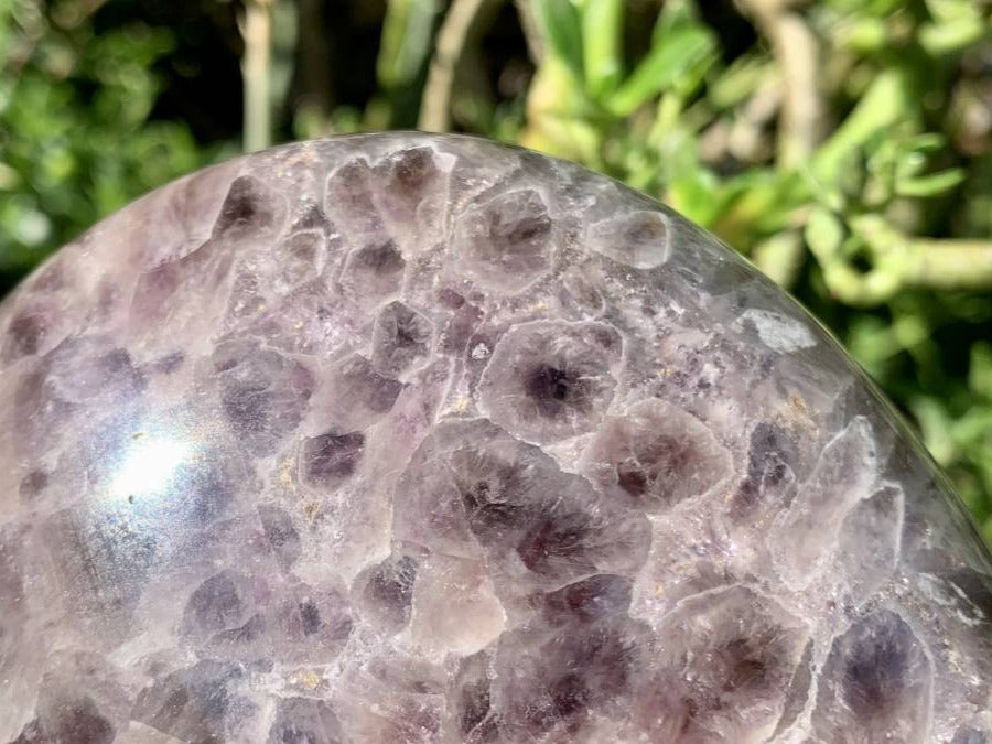 Polished Extra Large Flower Chevron Amethyst Display Piece x 1 From Madagascar