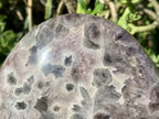 Polished Extra Large Flower Chevron Amethyst Display Piece x 1 From Madagascar