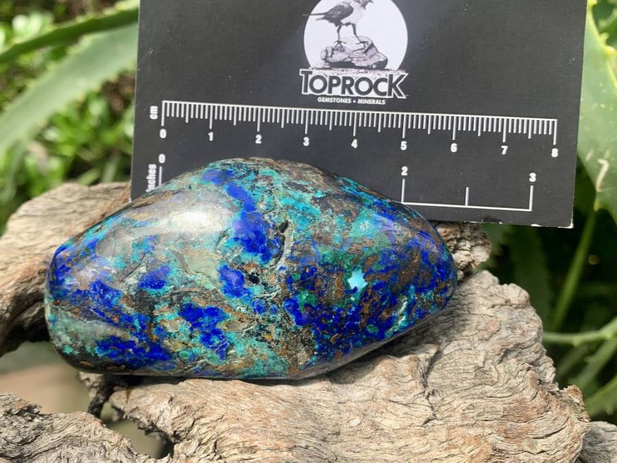 Polished Rare Azurite, Chrysocolla and Malachite Specimen x 1 From Kaokoveld, Namibia