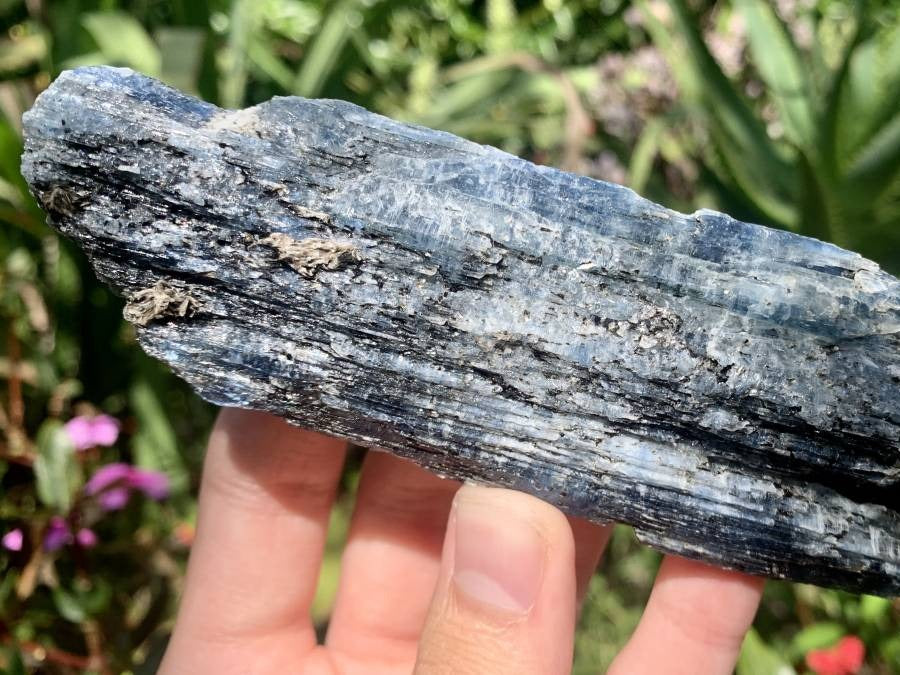 Natural Large Blue Kyanite with Biotite Mica Specimen x 1 From Karoi, Zimbabwe
