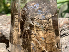 Polished Smokey Quartz Crystal x 1 From Anzojorobe, Madagascar