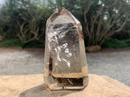 Polished Smokey Quartz Crystal x 1 From Anzojorobe, Madagascar