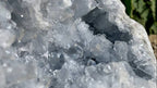 Natural Acicular Gemmy Celestite Mineral Specimen x 1 From Sakoane, Madagascar