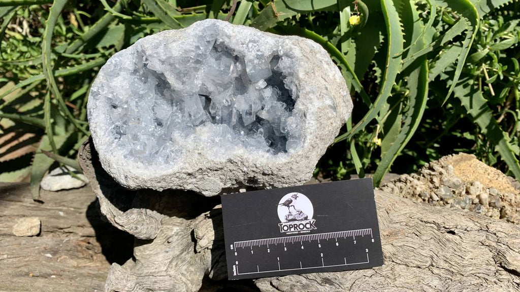 Acicular Rocks Natural Acicular Gemmy Celestite Mineral Specimen x 1 From Sakoane, Ma ...
