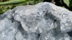 Natural Acicular Gemmy Celestite Mineral Specimen x 1 From Sakoane, Madagascar