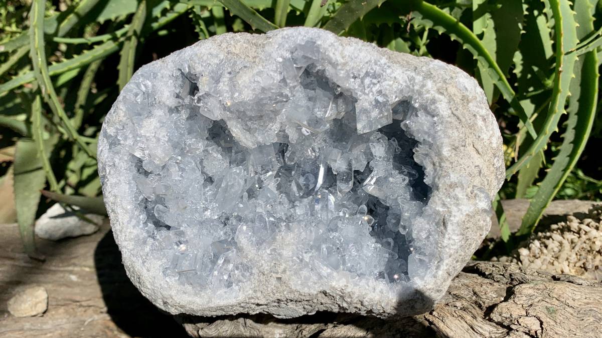 Acicular Rocks Natural Acicular Gemmy Celestite Mineral Specimen x 1 From Sakoane, Ma ...