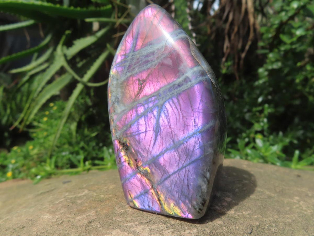 Polished Rare Purple Sunset Labradorite Standing Free Form x 1 From Tulear, Madagascar