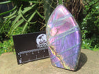 Polished Rare Purple Sunset Labradorite Standing Free Form x 1 From Tulear, Madagascar