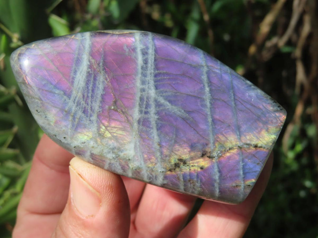 Polished Rare Purple Sunset Labradorite Standing Free Form x 1 From Tulear, Madagascar