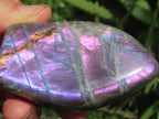 Polished Rare Purple Sunset Labradorite Standing Free Form x 1 From Tulear, Madagascar