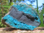 Natural Twin Shattuckite and Bornite Split Nodule x 1 From Kaokoveld, Namibia