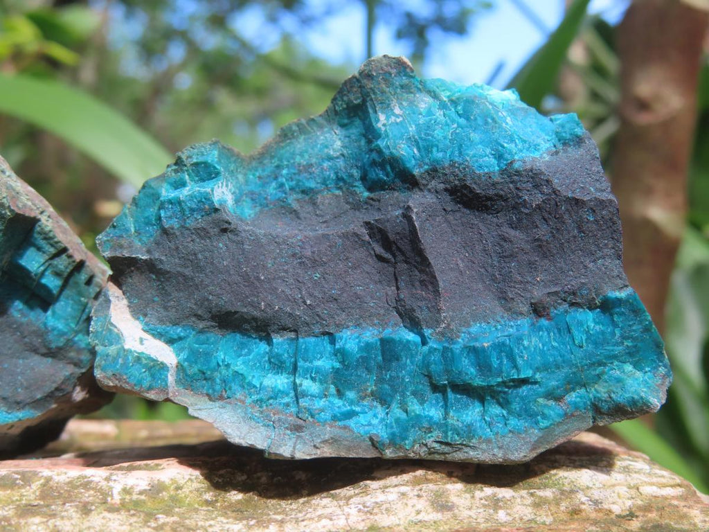 Natural Twin Shattuckite and Bornite Split Nodule x 1 From Kaokoveld, Namibia