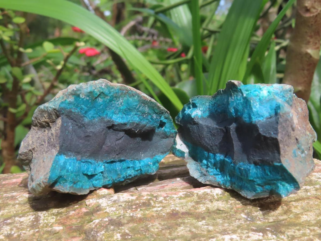 Natural Twin Shattuckite and Bornite Split Nodule x 1 From Kaokoveld, Namibia