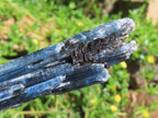 Natural Gemmy Kyanite with Biotite Crystal x 1 From Karoi, Zimbabwe