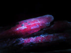 Natural Gemmy Kyanite with Biotite Crystal x 1 From Karoi, Zimbabwe