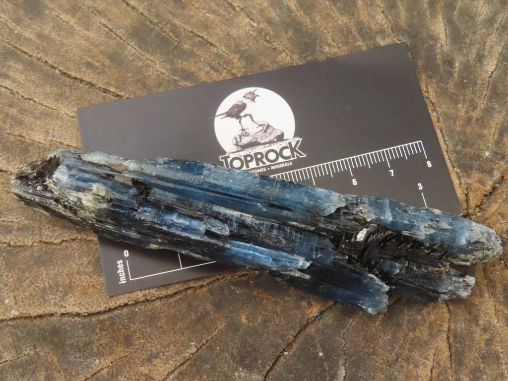 Natural Gemmy Kyanite with Biotite Crystal x 1 From Karoi, Zimbabwe