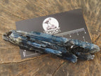 Natural Gemmy Kyanite with Biotite Crystal x 1 From Karoi, Zimbabwe