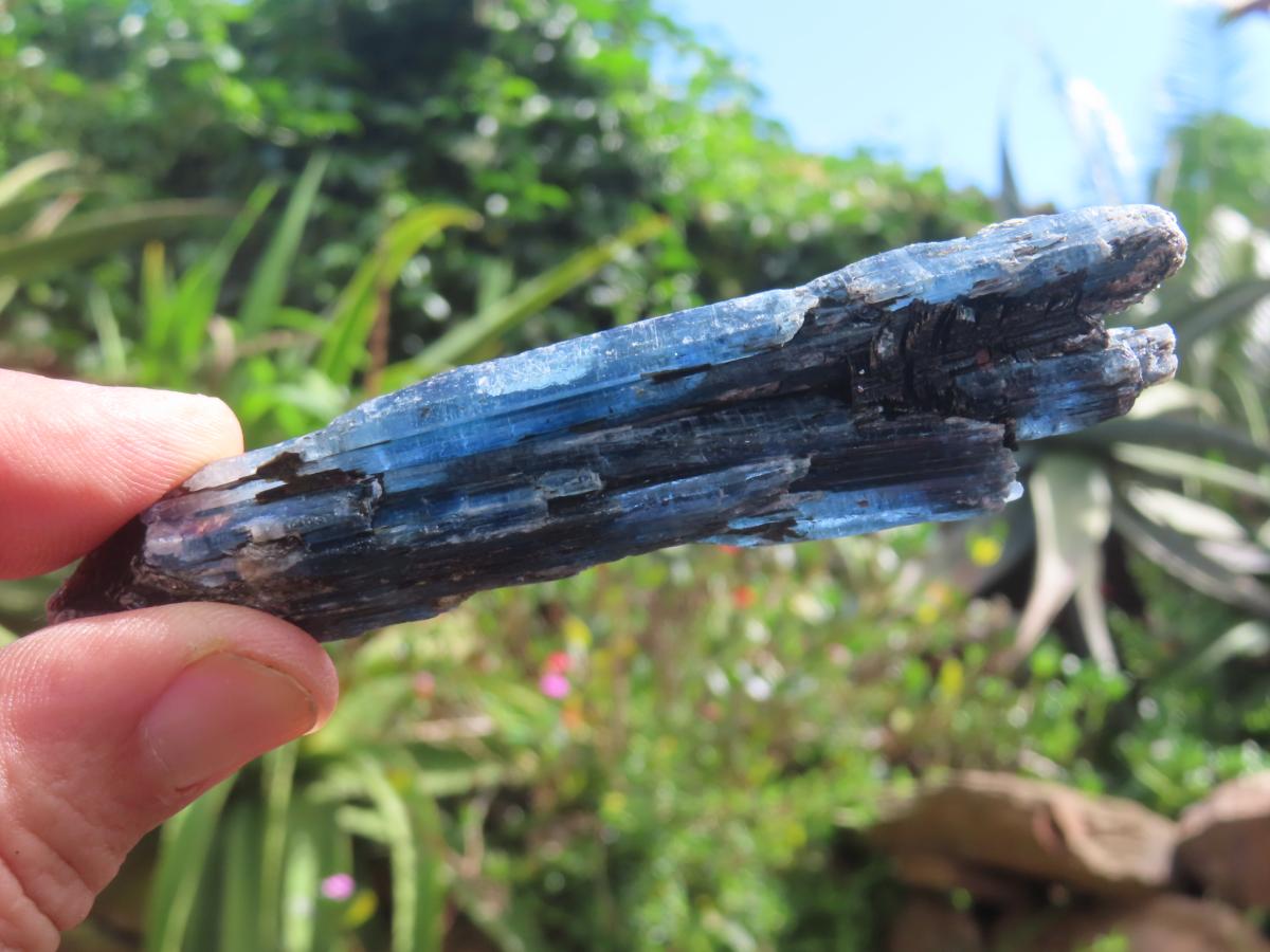 Natural Gemmy Kyanite with Biotite Crystal x 1 From Karoi, Zimbabwe