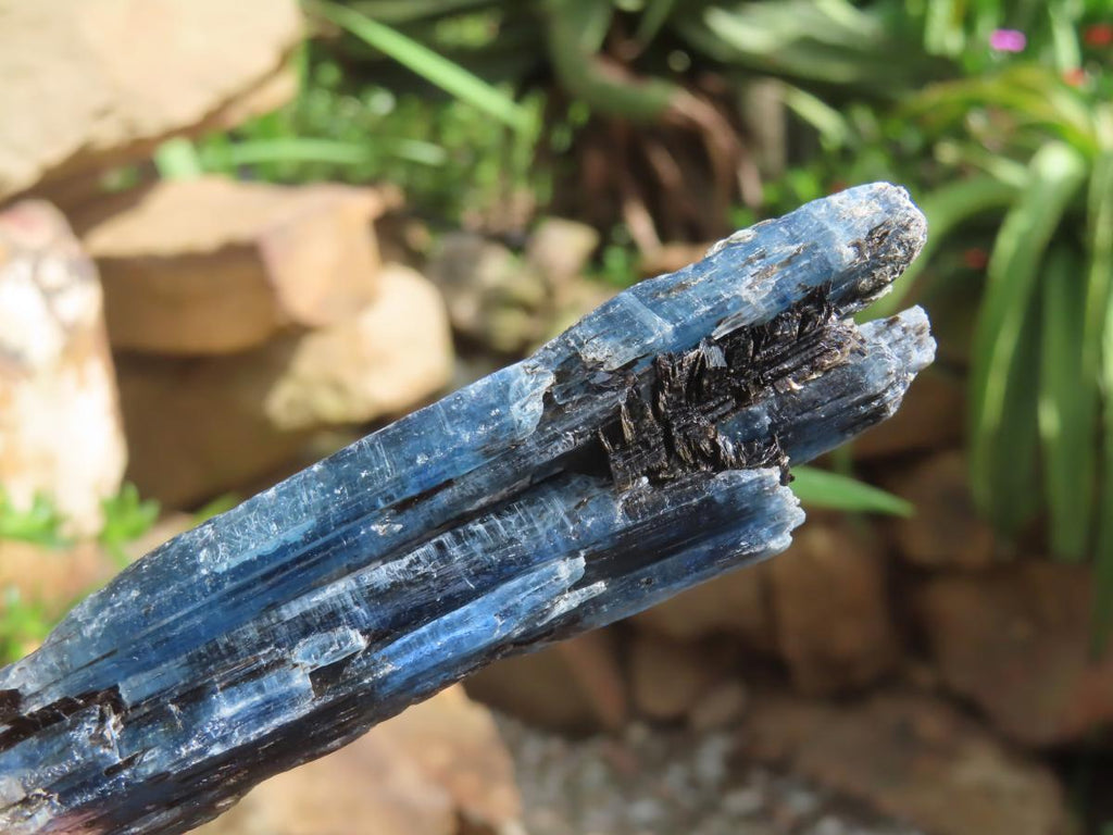 Natural Gemmy Kyanite with Biotite Crystal x 1 From Karoi, Zimbabwe