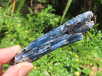 Natural Gemmy Kyanite with Biotite Crystal x 1 From Karoi, Zimbabwe