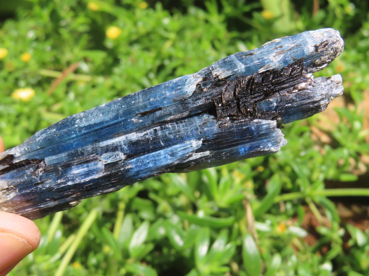 Natural Gemmy Kyanite with Biotite Crystal x 1 From Karoi, Zimbabwe